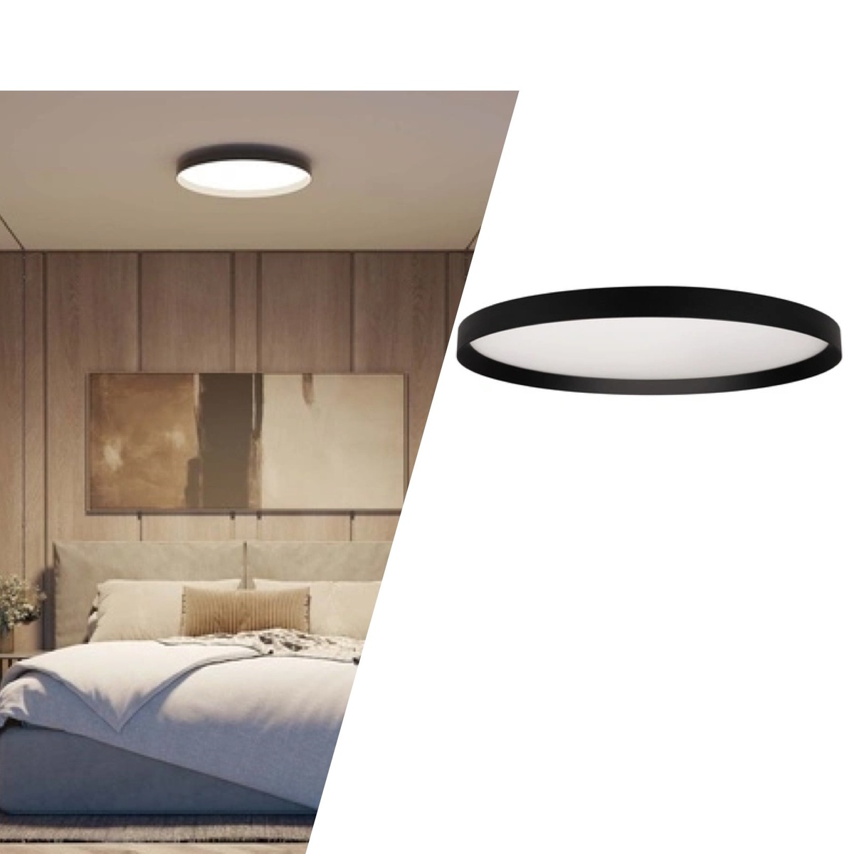 scale_1200.jpg scale_1200.jpg